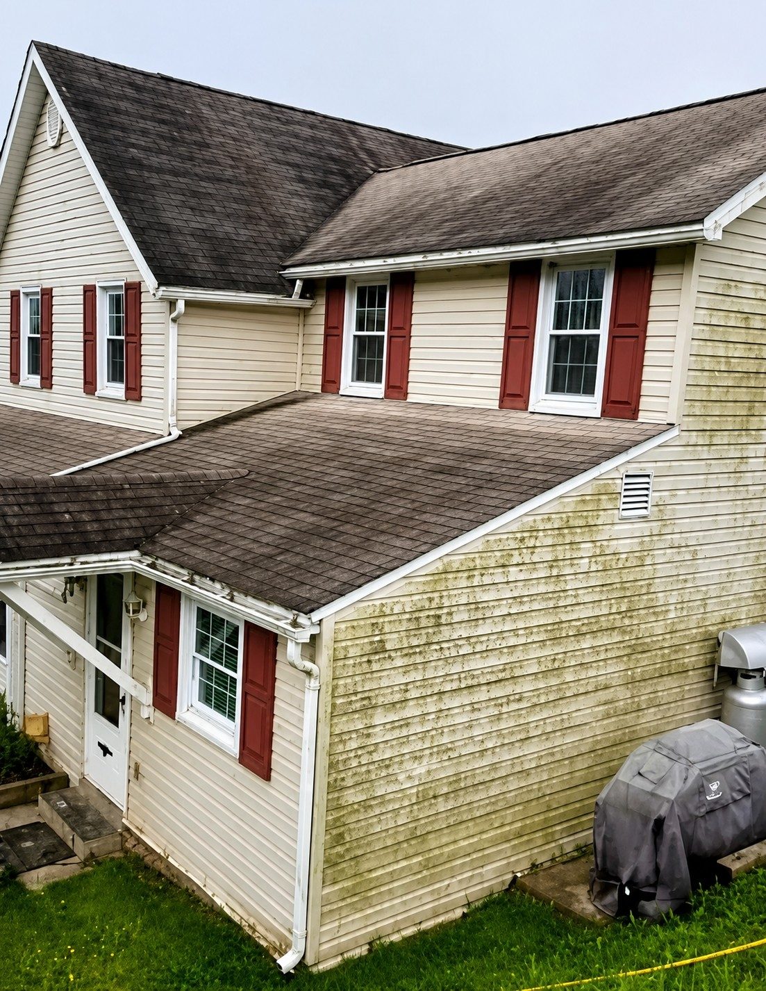 Two-story home with algae-stained vinyl siding before soft-wash house cleaning